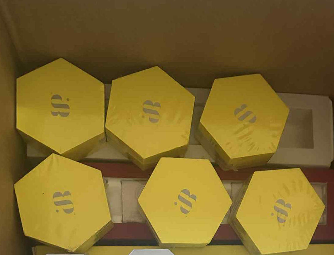 Unrevealed OG Earrings