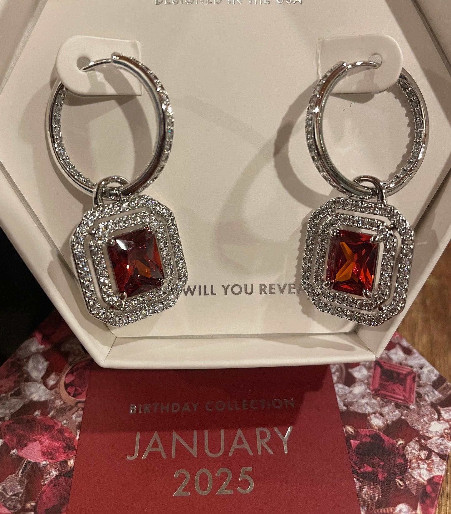 New Beginnings - Garnet CZ Dangle Hoops